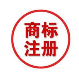 全面解析商務(wù)信息咨詢(xún)公司的注冊(cè)流程與要點(diǎn)